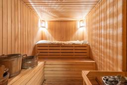 biosauna